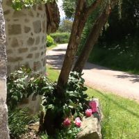 Maison à vendre en France - Weg langs huis 4.jpg